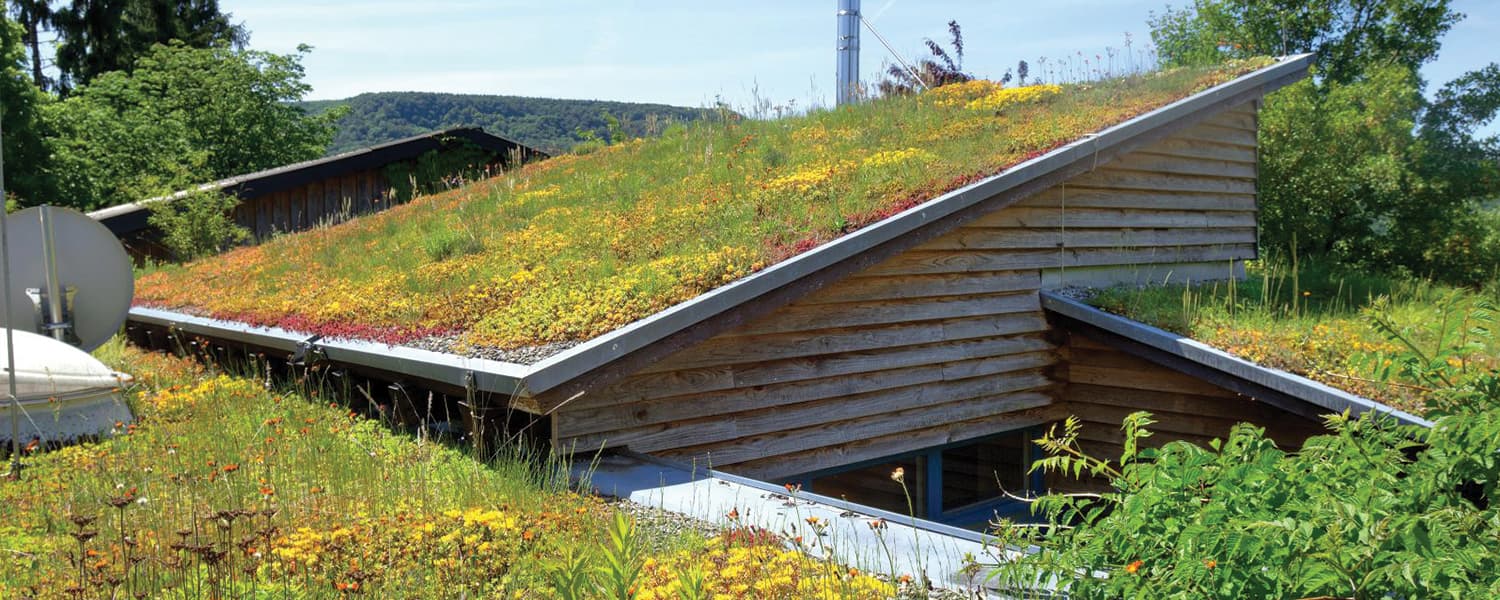Les avantages des toitures vertes